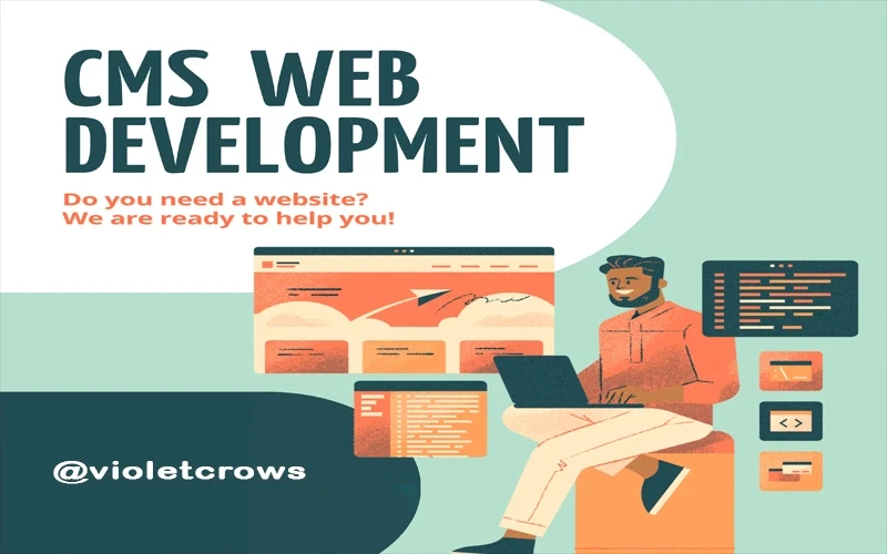 CMS Web Development